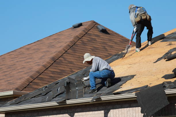 Best Metal Roofing Installation  in Roodhouse, IL