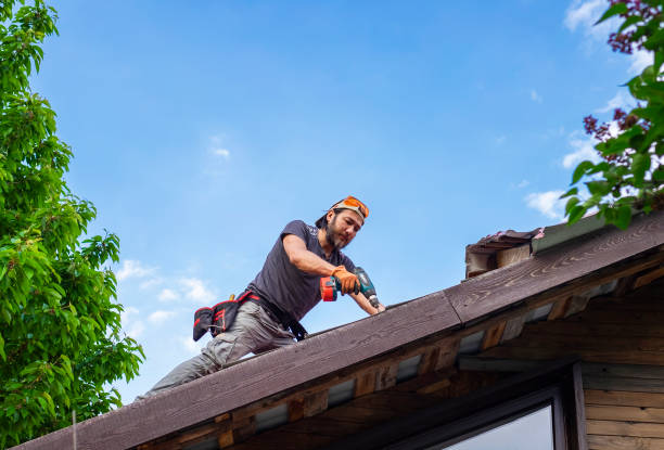 Best Asphalt Shingle Roofing  in Roodhouse, IL