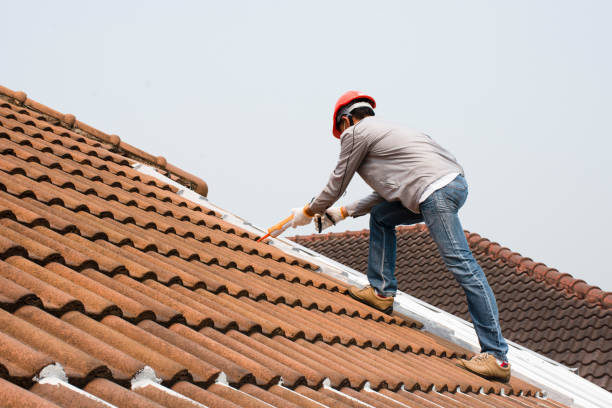 Best Roof Insulation Installation  in Roodhouse, IL