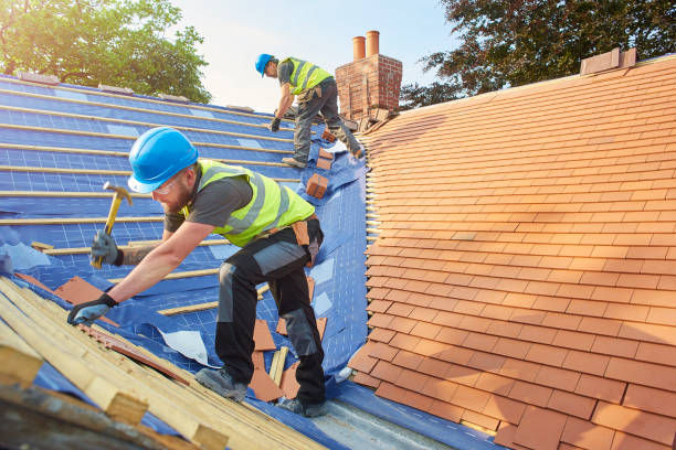 Best Hot Roofs  in Roodhouse, IL